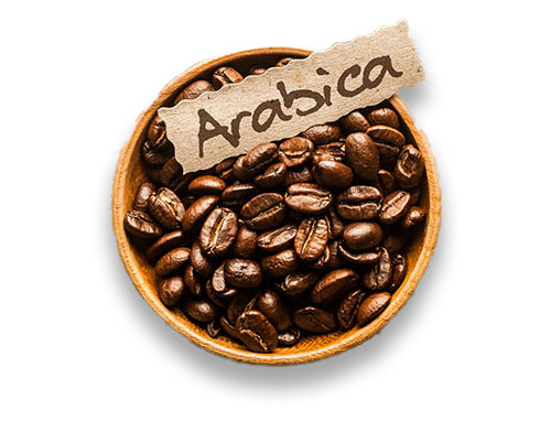 arabica-beans خرید از فروشگاه kaffee.ir